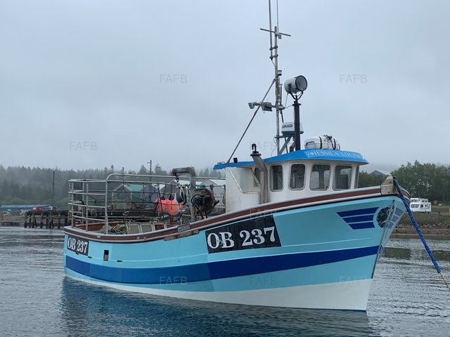 Large picture for advert 104747