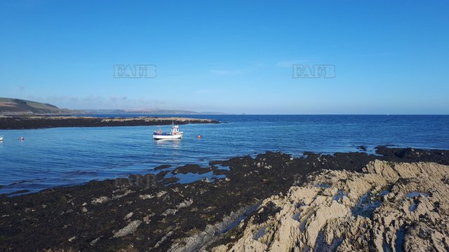 Large picture for advert 107497