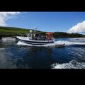 Extra picture for advert 117497