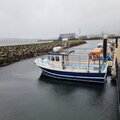 Extra picture for advert 117497