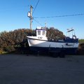Extra picture for advert 107497