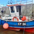 Extra picture for advert 100097